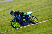 Middle Group Blue Bikes